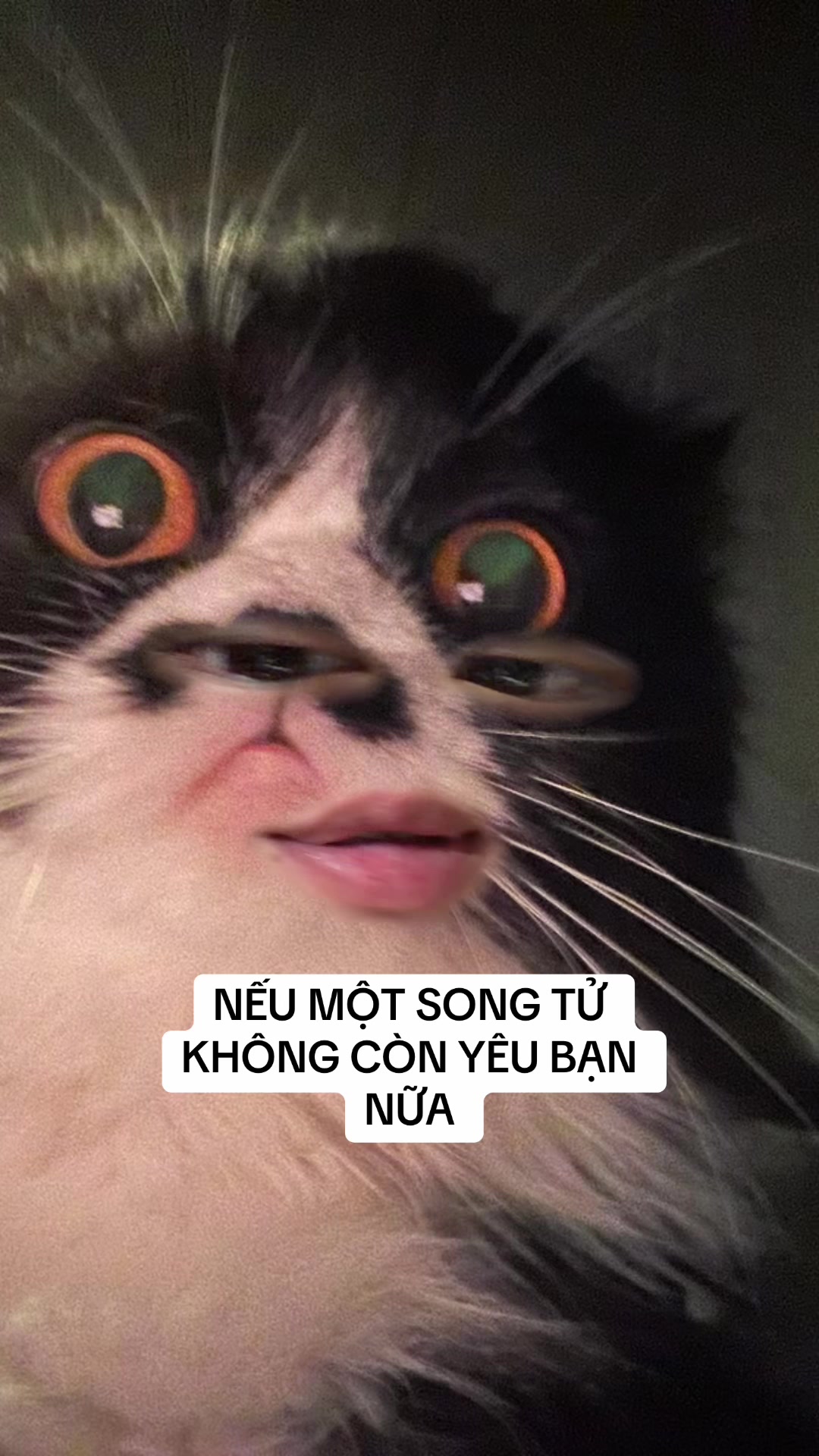 @Arian.astro