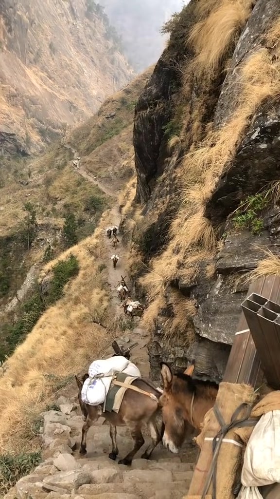 @शब्द 😰💔🥀