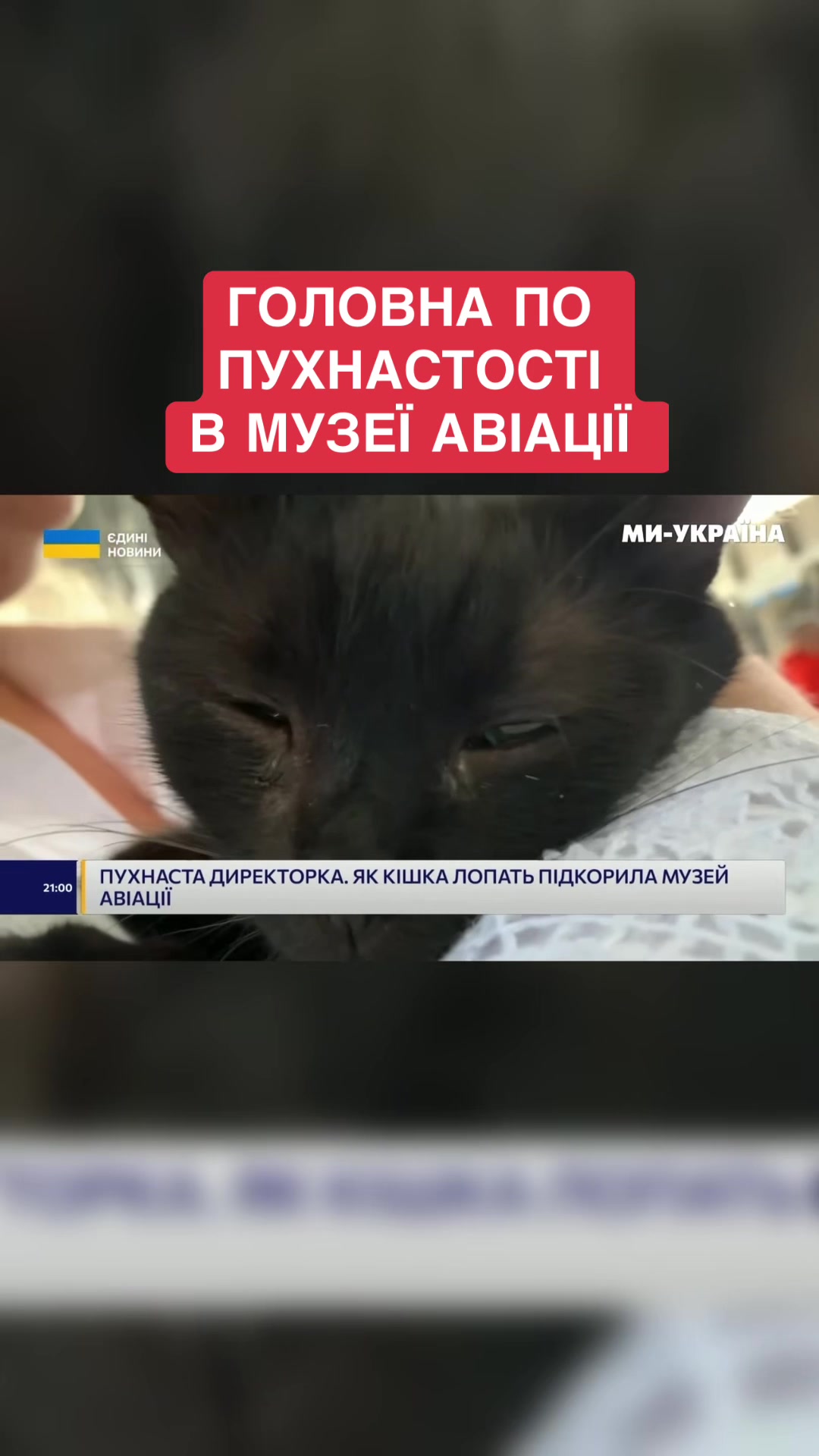 @Ми - Україна