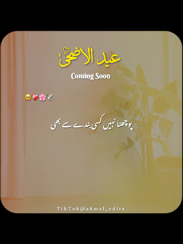 @𝐀𝐤𝐦𝐚𝐥_𝐄𝐝𝐢𝐭𝐱