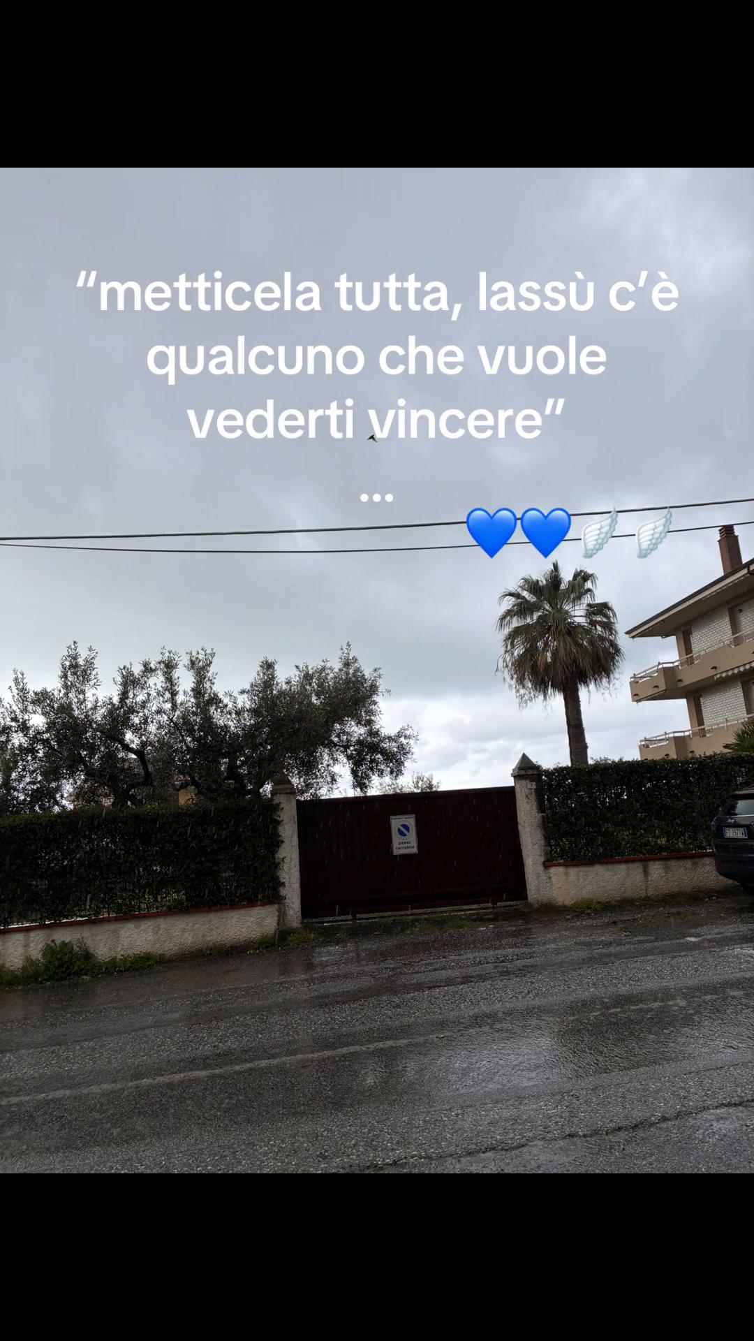 @sha.shadefaziooo