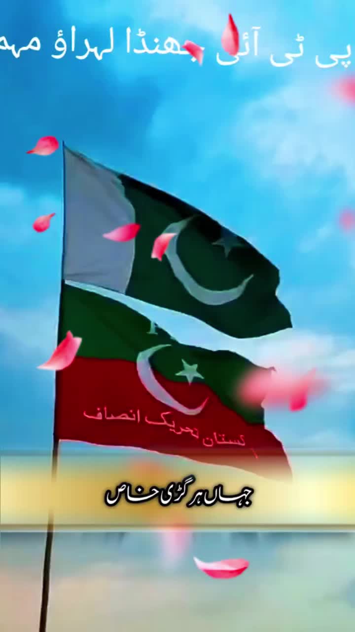 @amaan1949