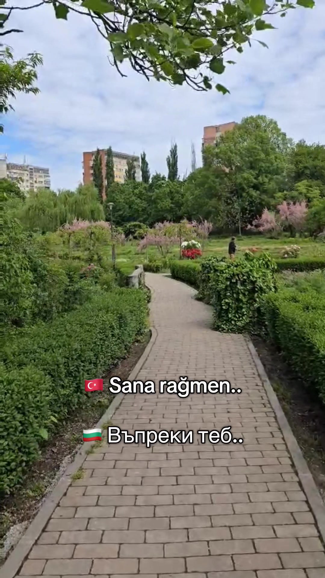 @RaYa