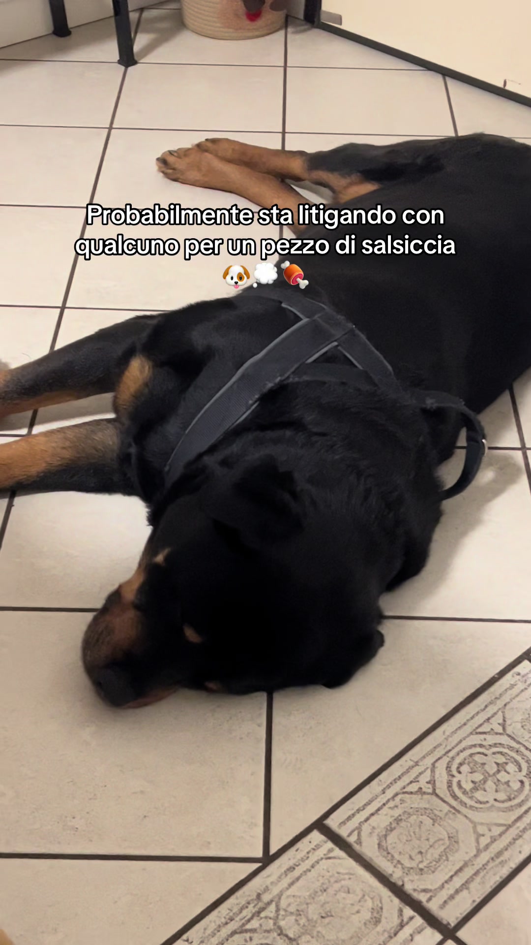 @Silvana Caramia