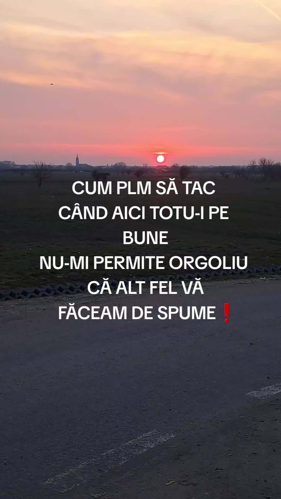 @fp_albert_nbn