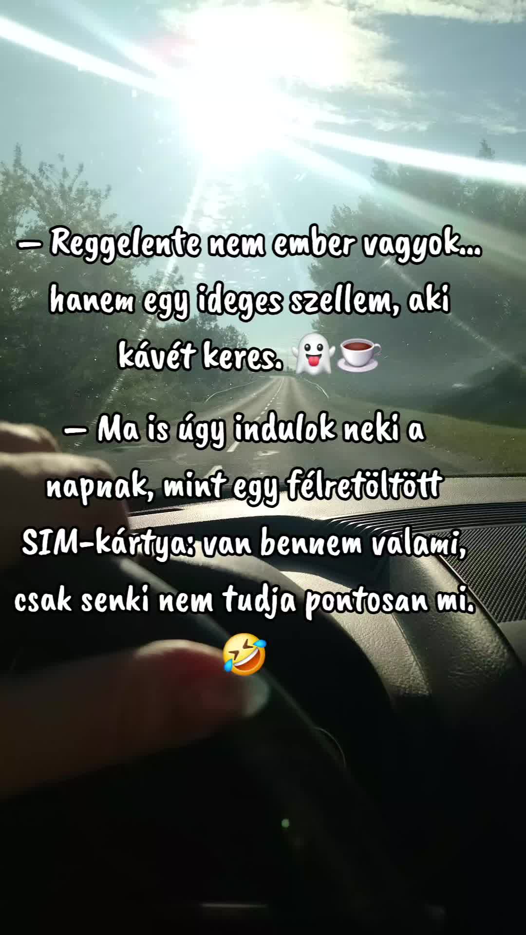 @👑Picisárika👑