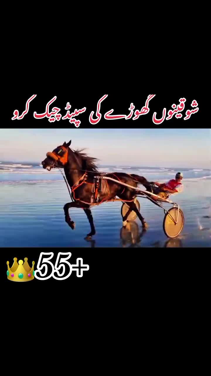 @Chach tanga racer007🐎