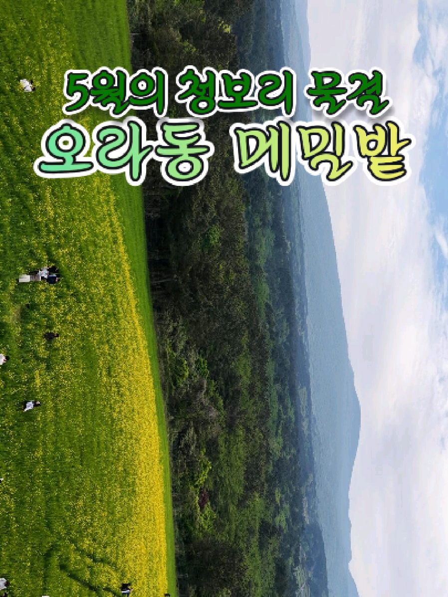 @꾸이 제주맛집