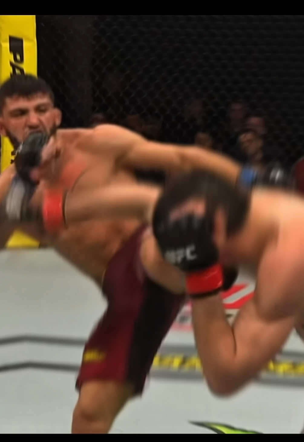 @kentizmma 🕷️