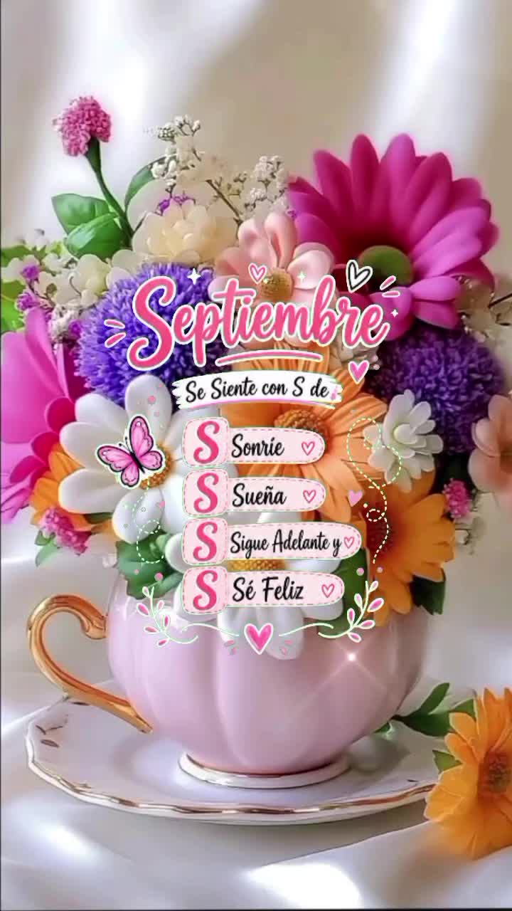@Elyz🌷