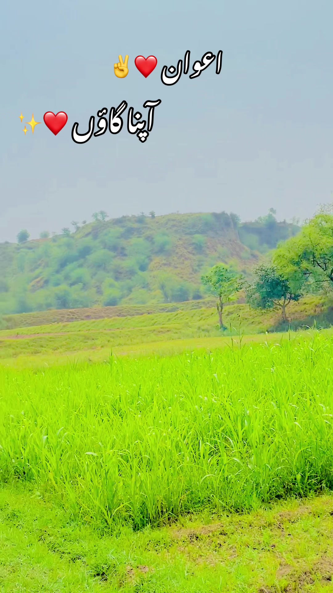 @نادان دل اعوان بادشاہ🦅👑🔥✌️
