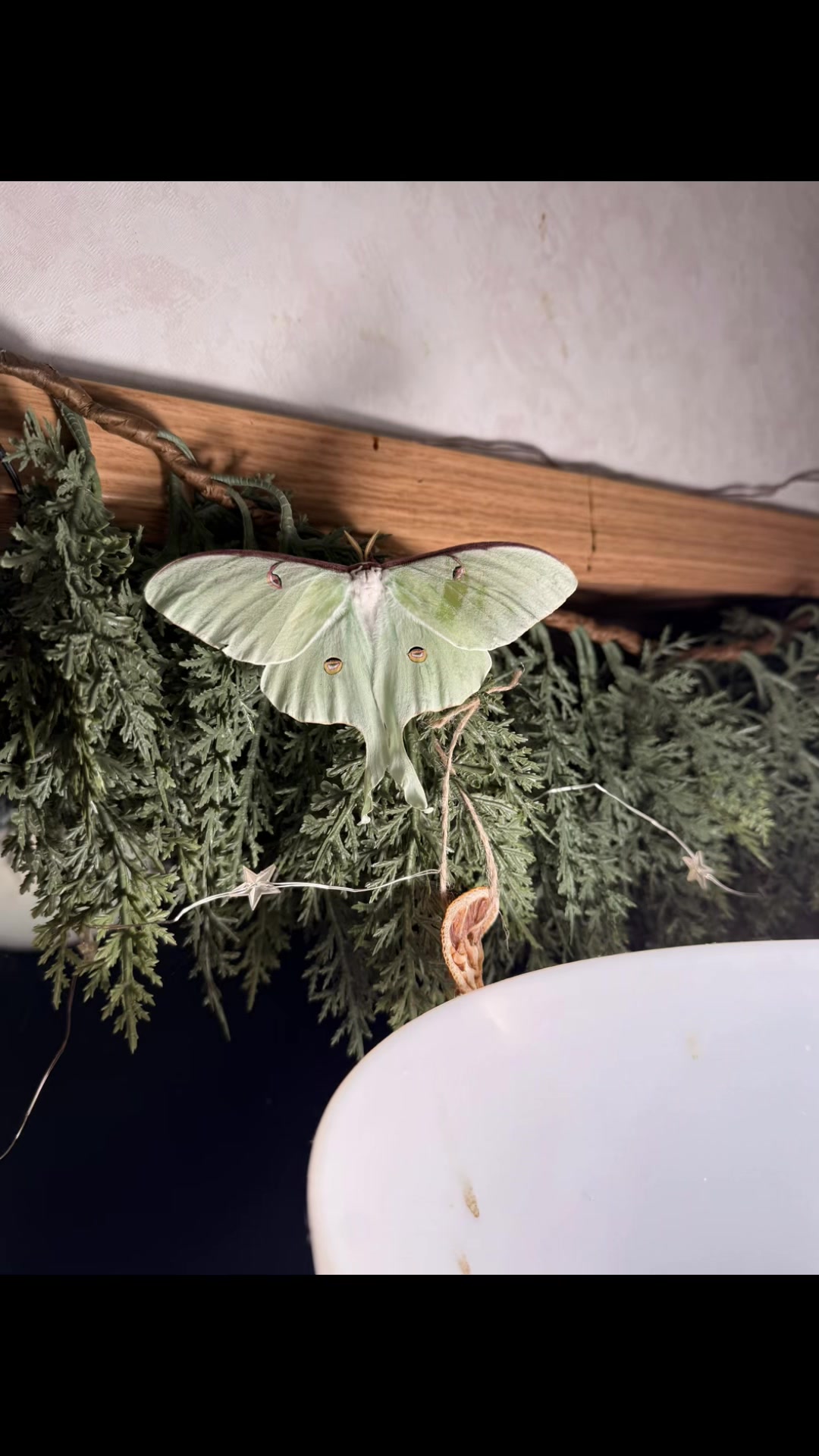@Andrea
