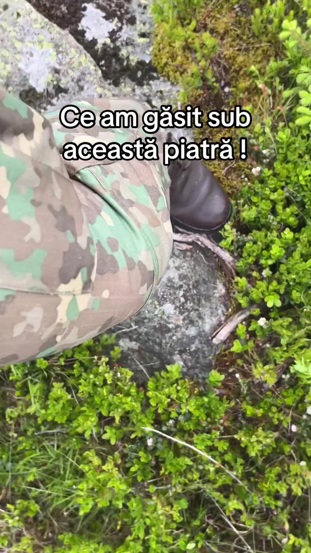 @Petruța Andrei Nicolae