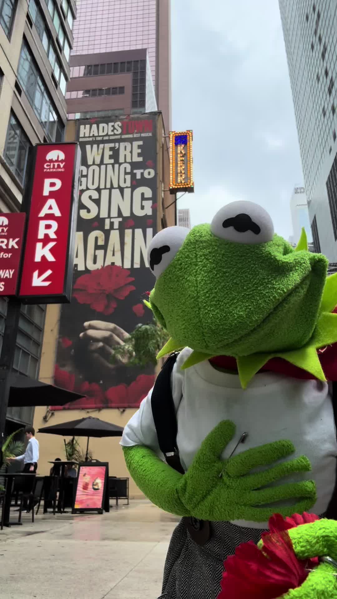 @Kermit MaFrog