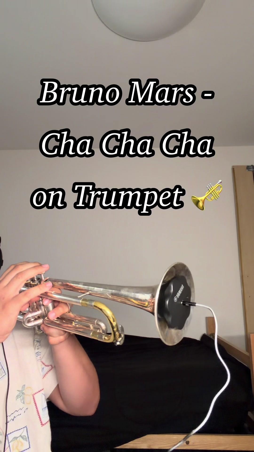 @mexicantrumpetboy