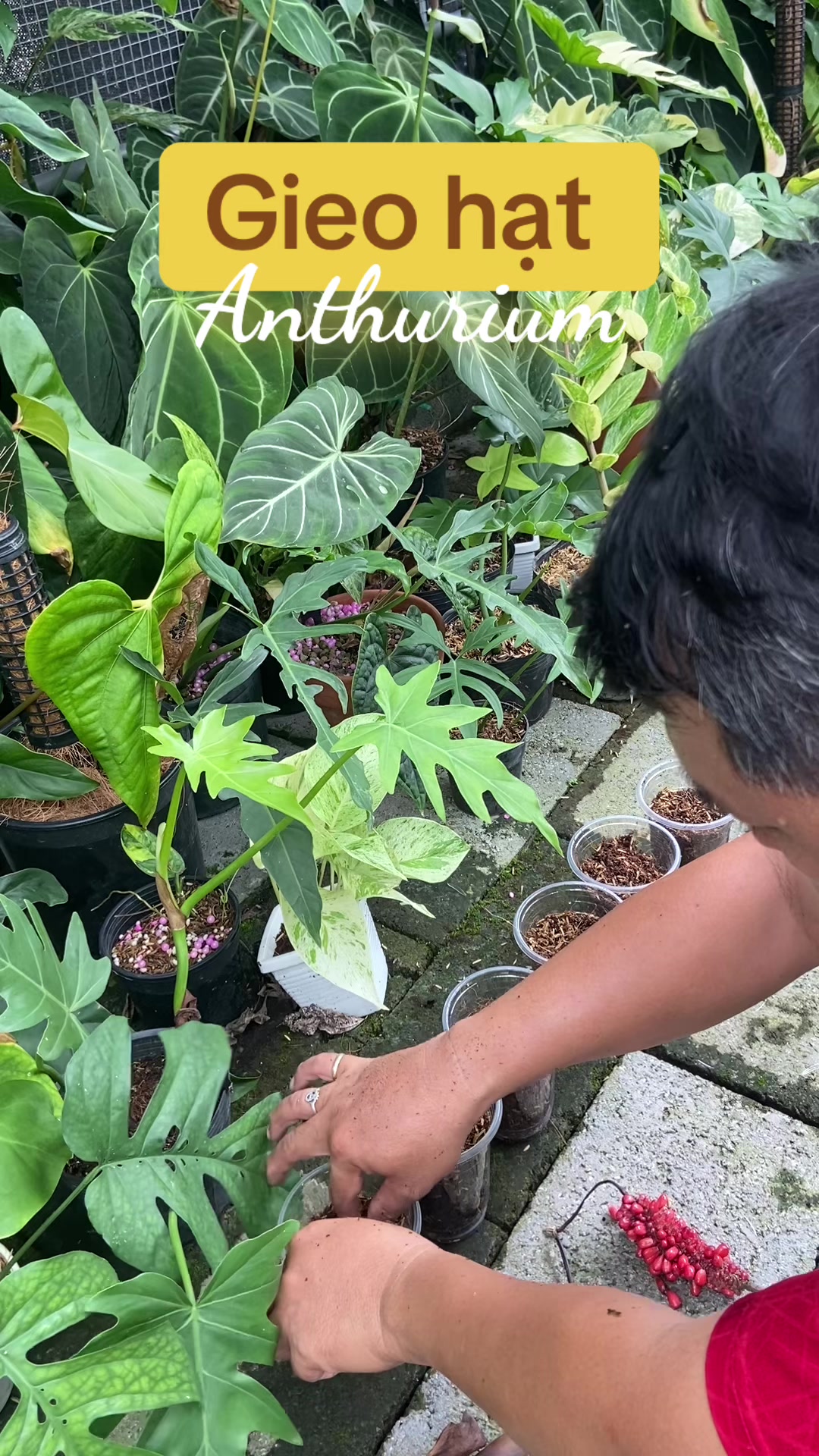 @Kid Garden Decor