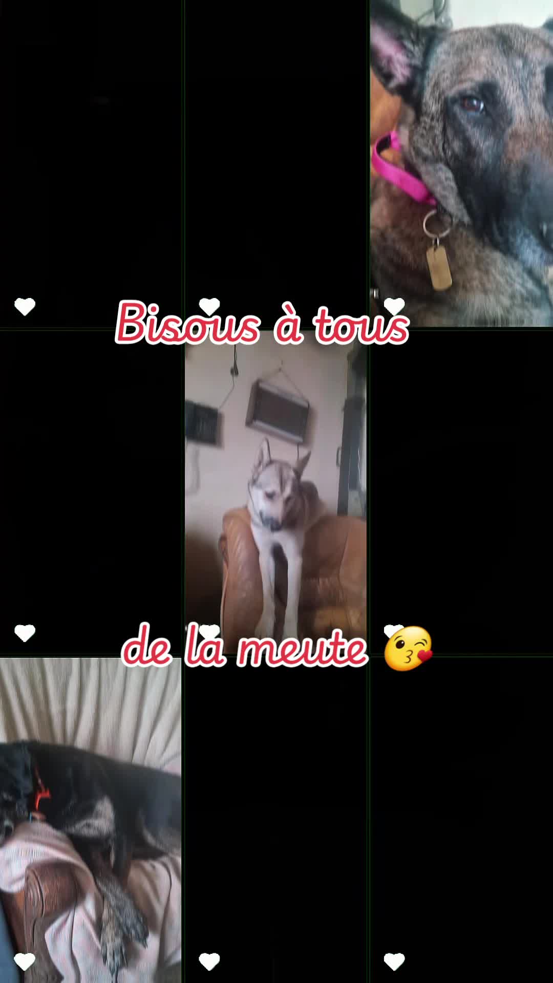 @raphael65250