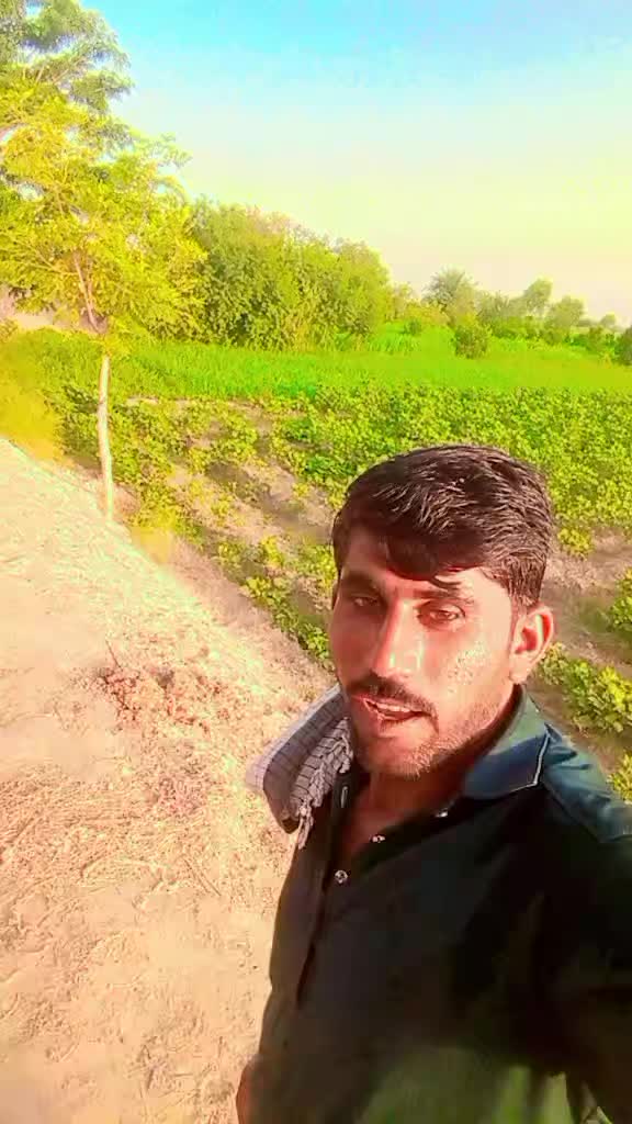 @Imran Ali
