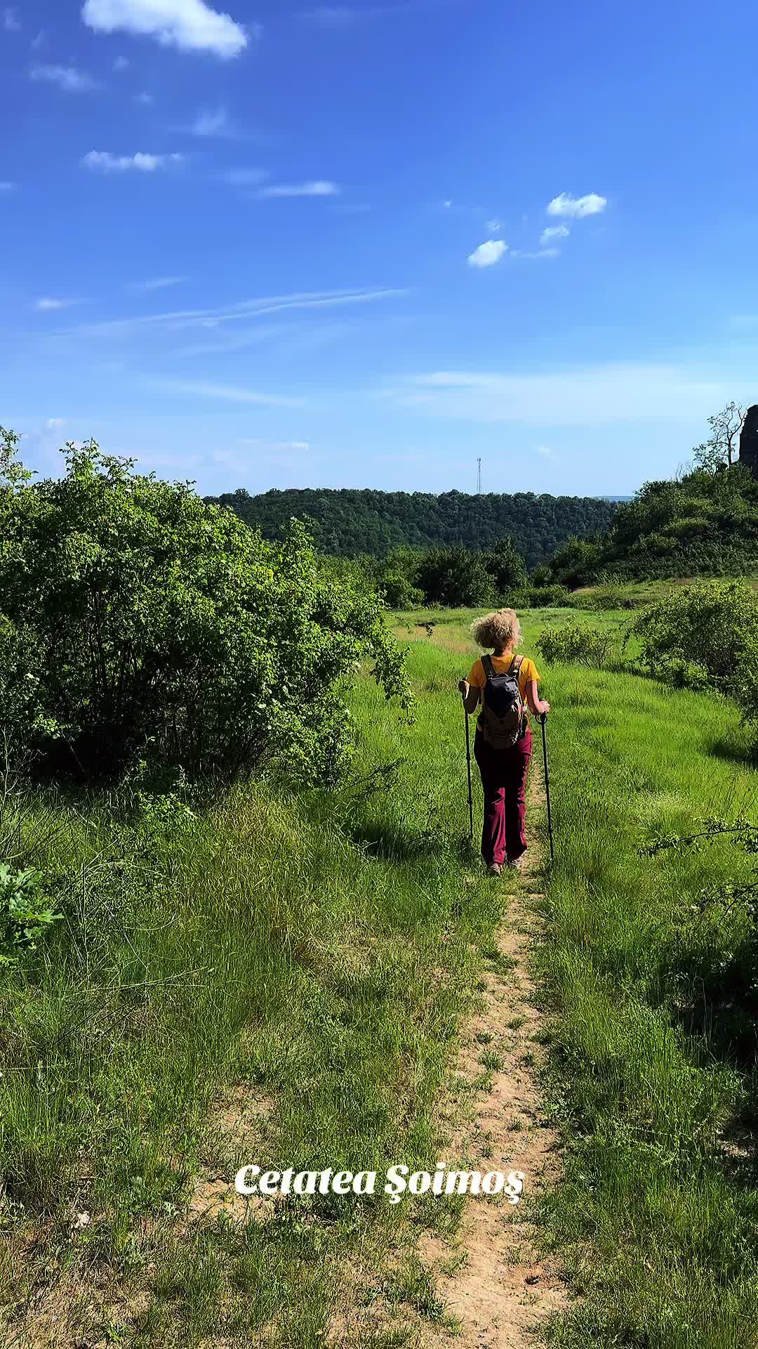 @Florin