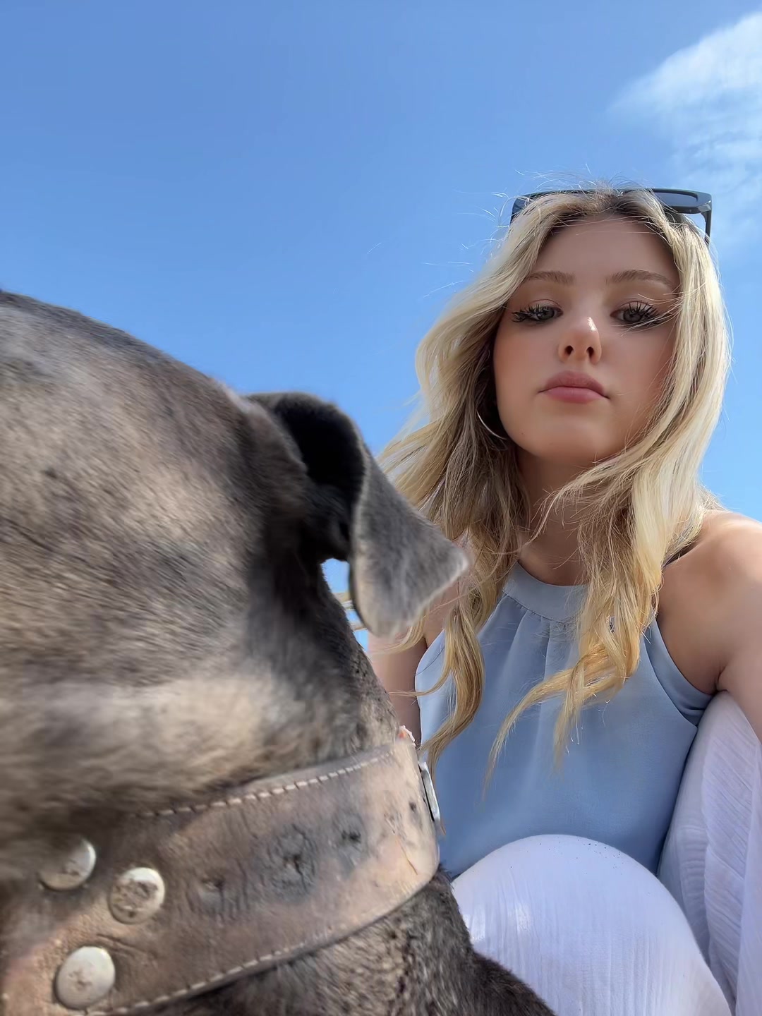 @acelyacckk