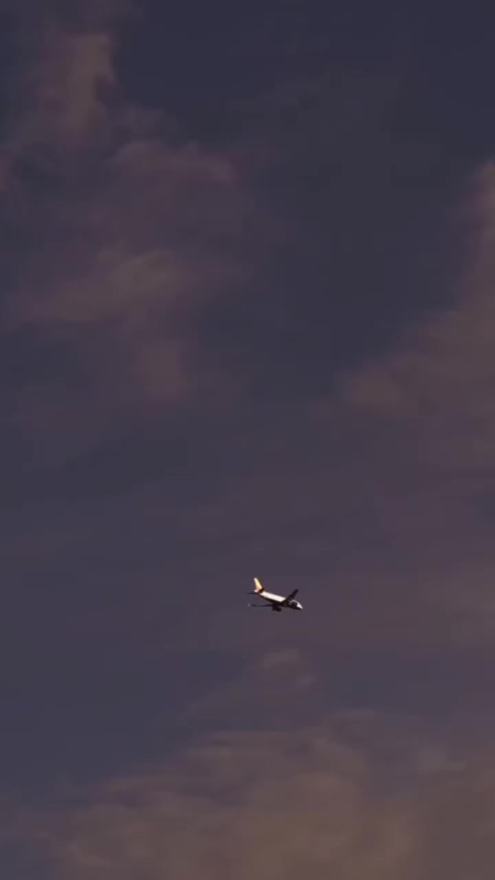 @ᦓꪀꫀꫝꪖ
