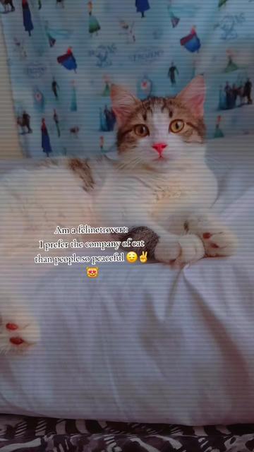 @jay sarah ๐ฌ๐ง๐ฐ๐ช