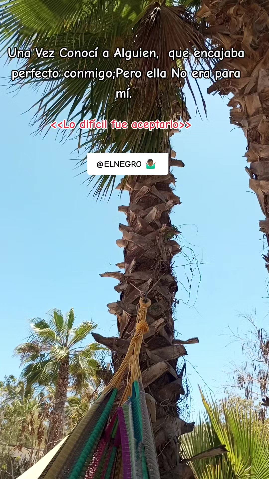 @😎 🔥El negro 💣 👹