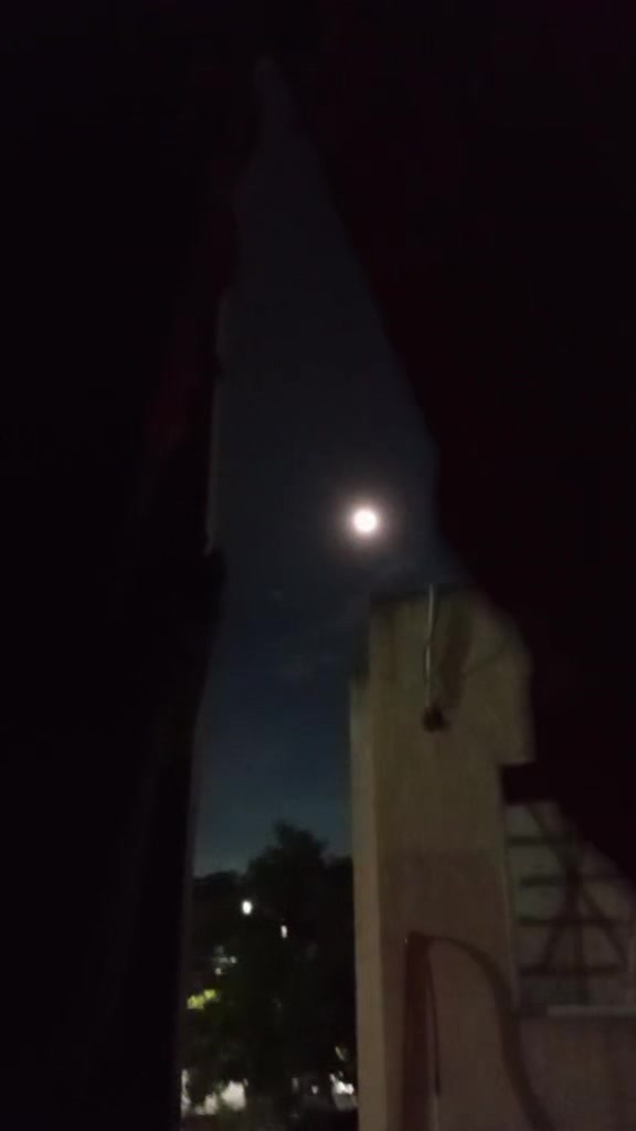 @jarochita ❤️❤️🫀🧠