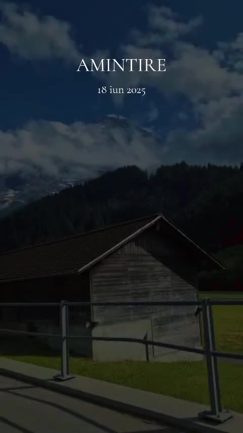 @Elena Popa8028