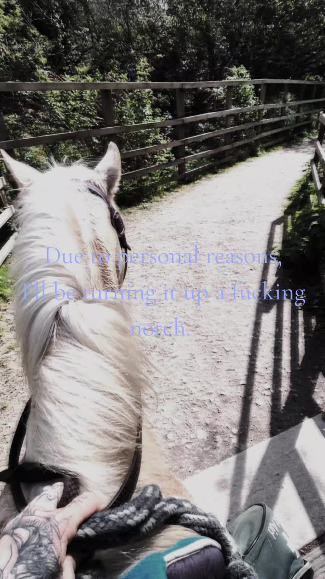 @Sinead 🐴 🖤💜🏍