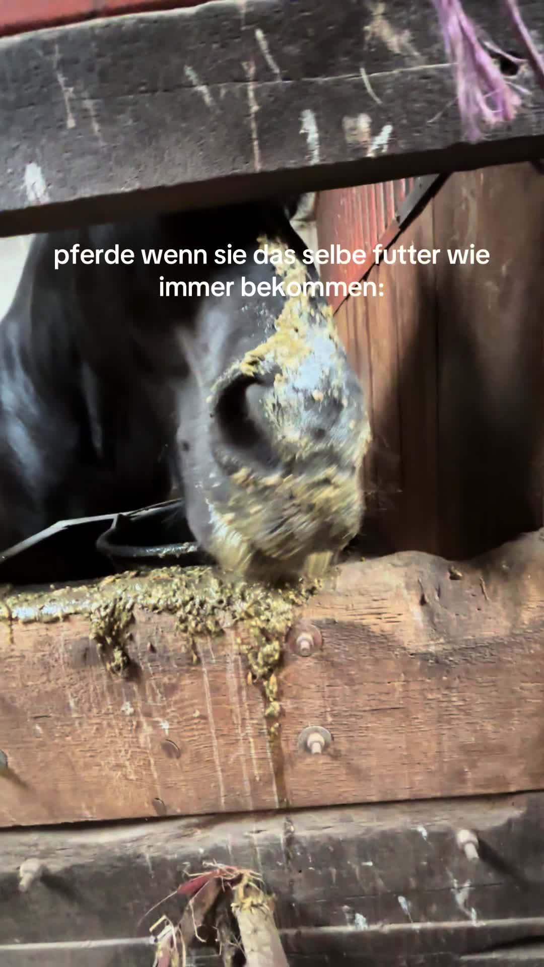 @Kinderreitenfulda