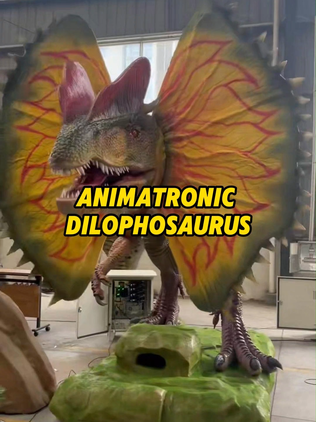 @ZGDinosaur