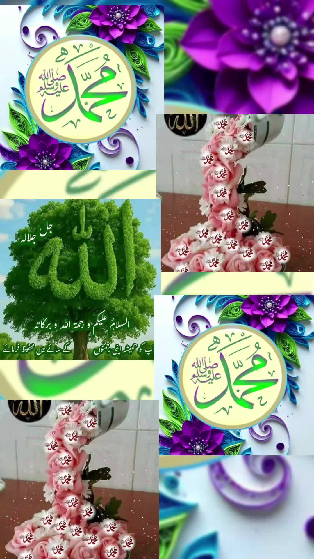 @Jabeen1786