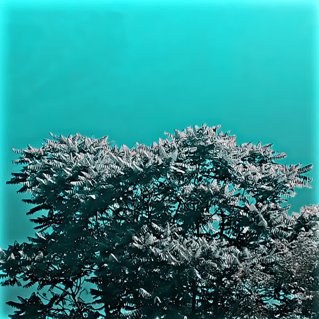 @么nees ʙ➋ᴋ
