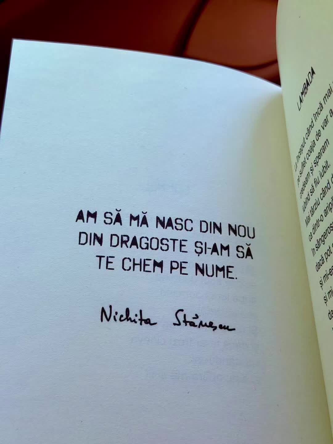 @Mihaela Zechmeister