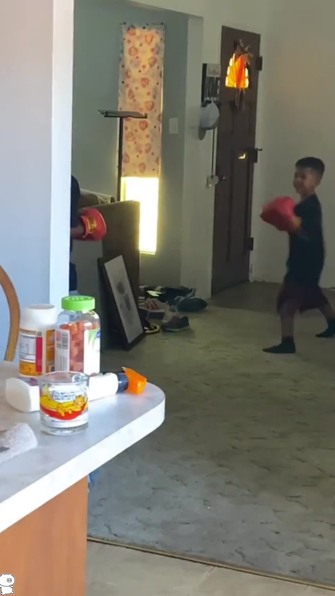 @Funny.pet.dog888
