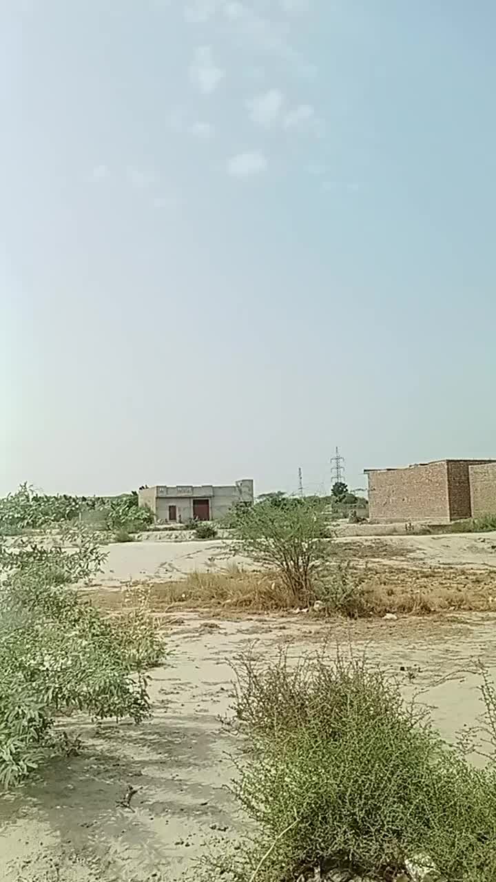 @jugnoo rajpoot 🦚