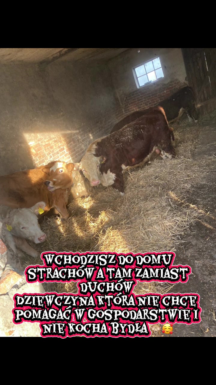 @Rolnik Kujawy