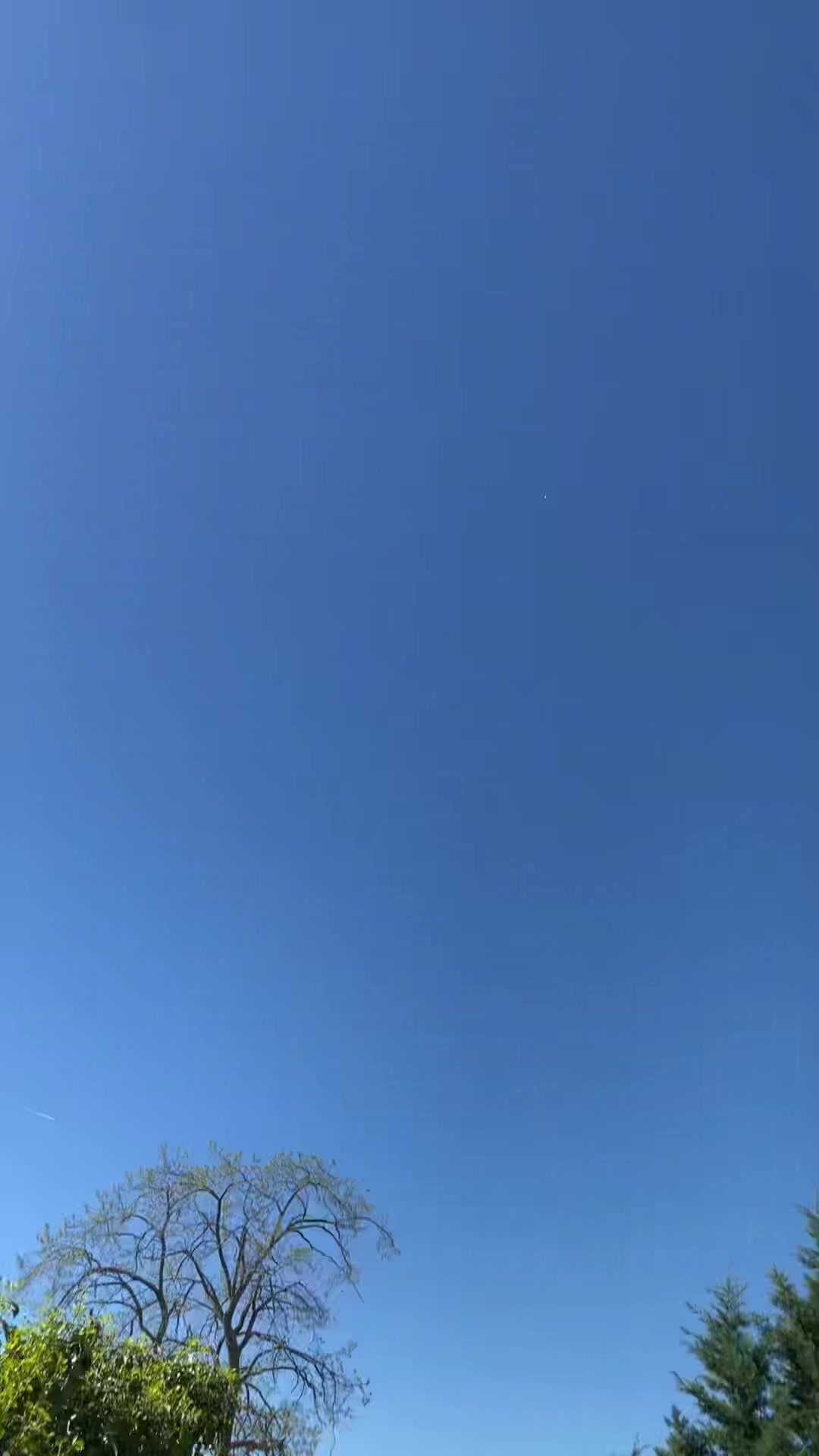 @Daniela 🦋🎧