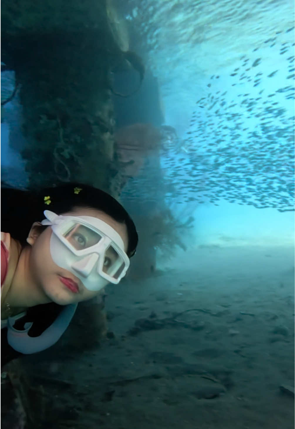 @Yuki | Diving & Traveling