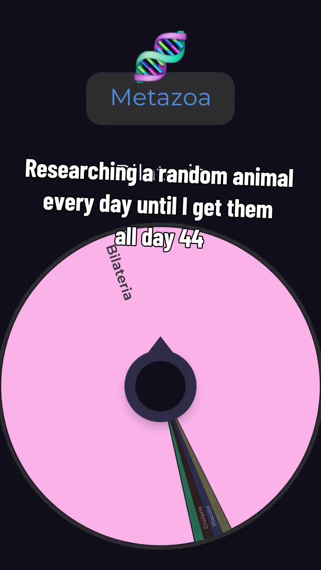 @Red🦕