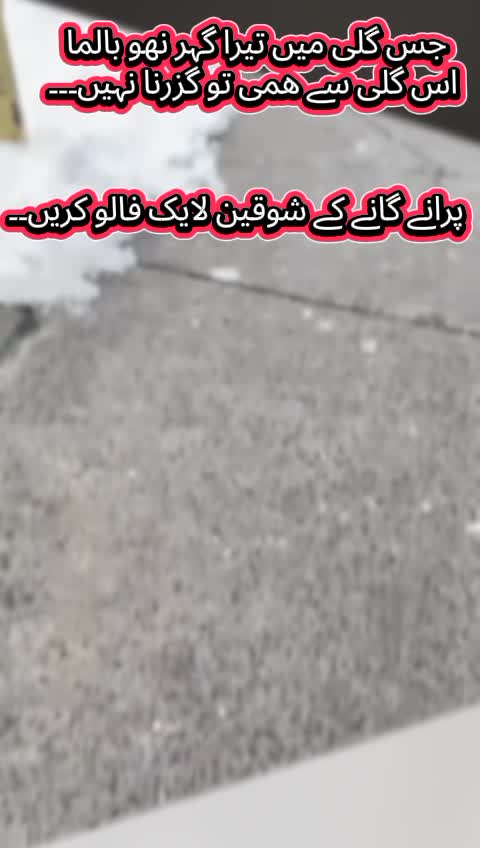 @Haya