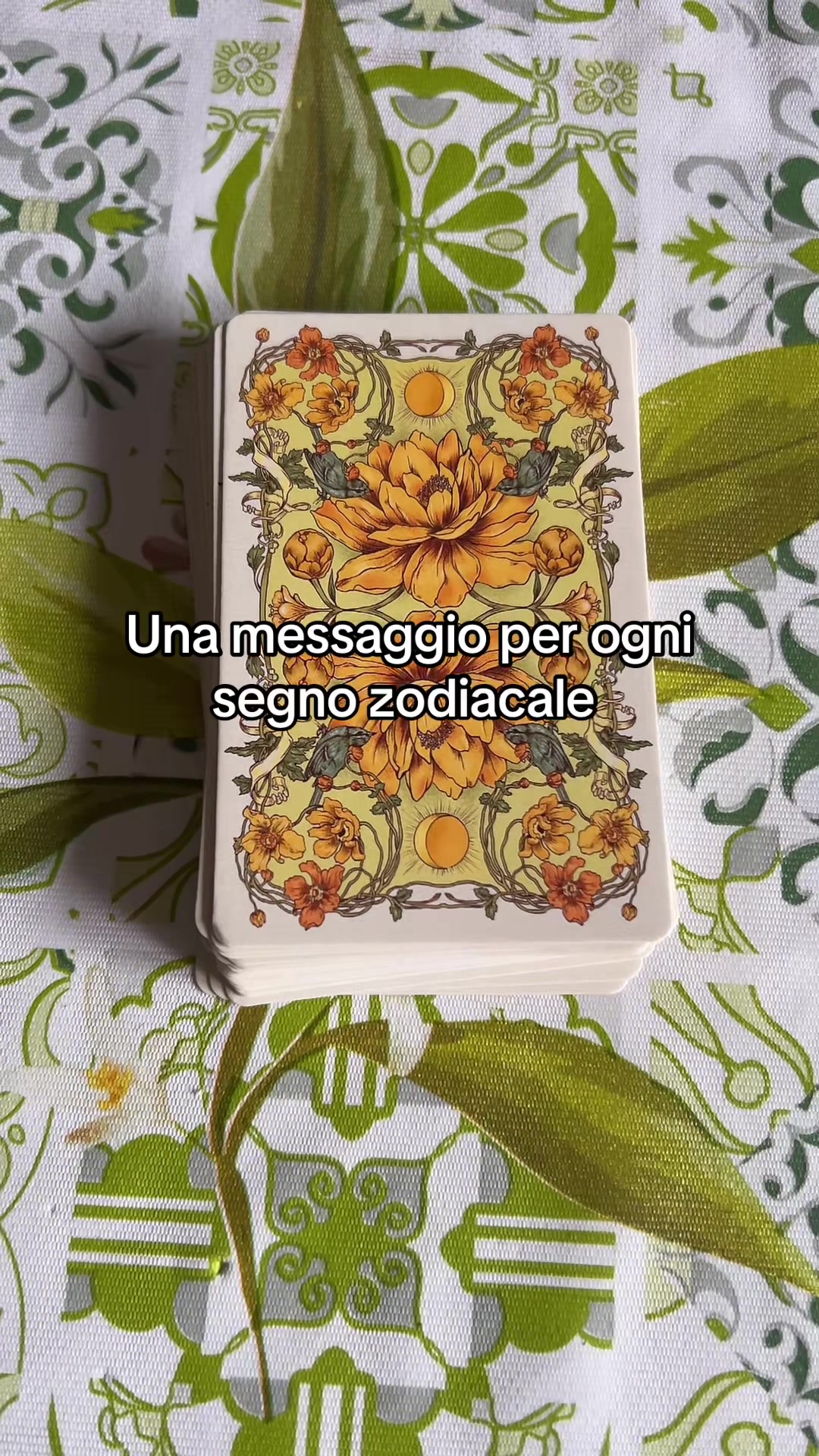 @Laura Ecate