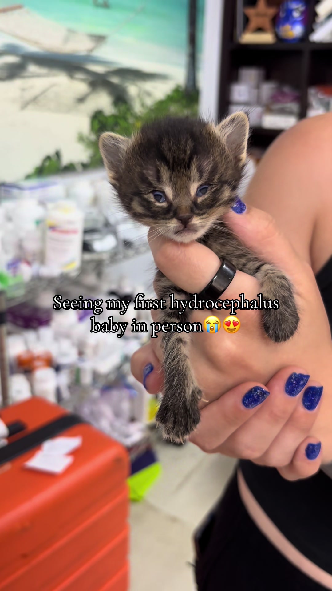 @Boonie Babies