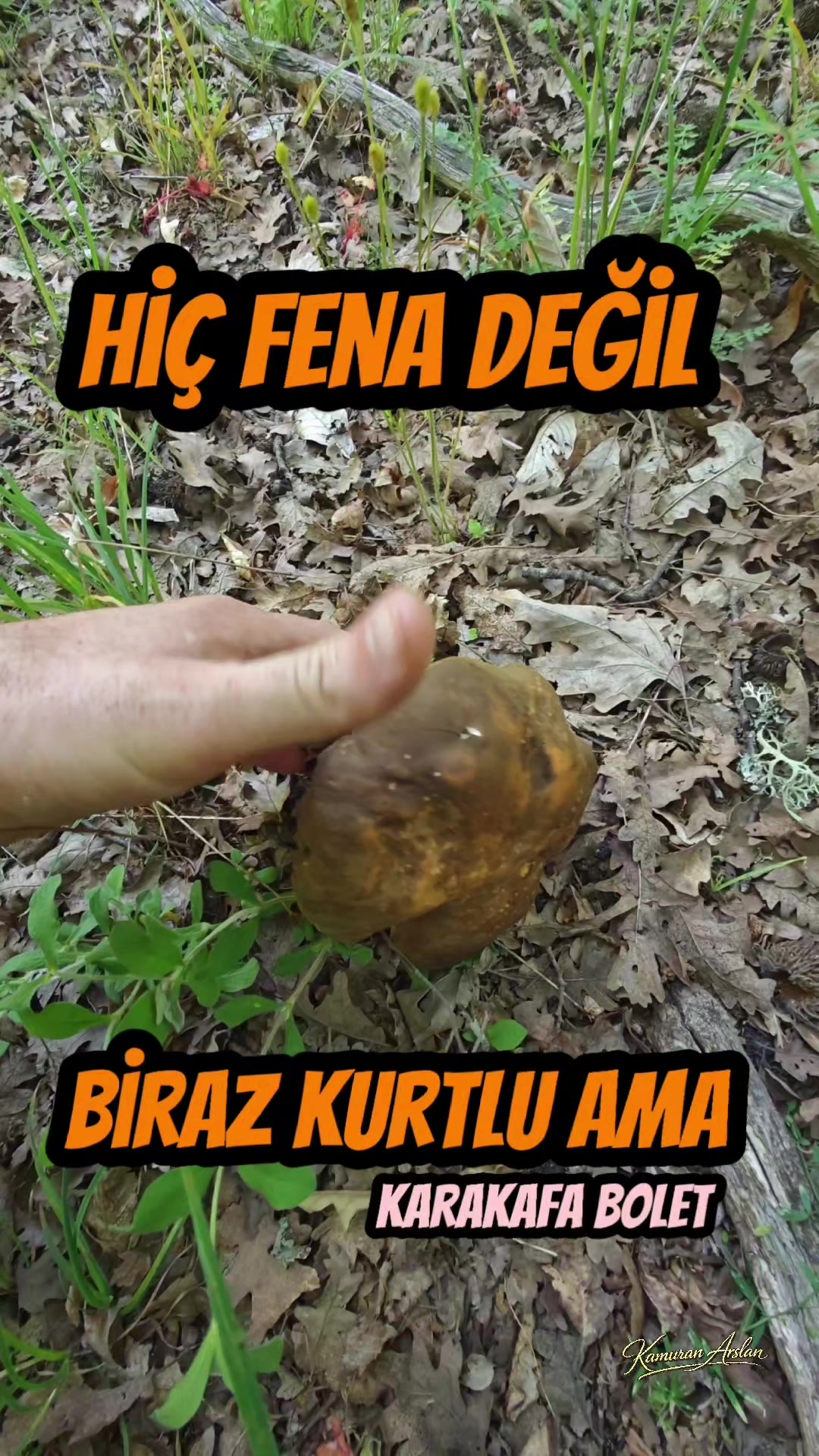 @Kamuran Arslan