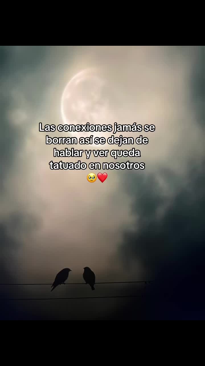 @Aida RamireZz❤️