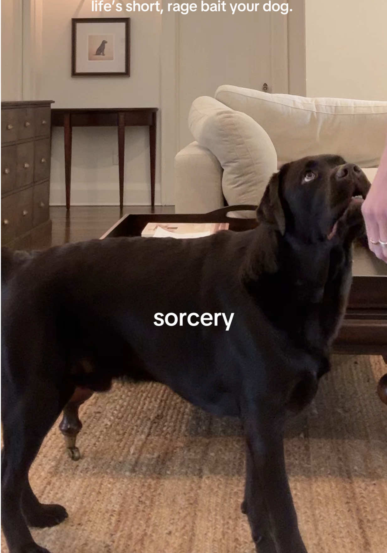 @chipthechonk