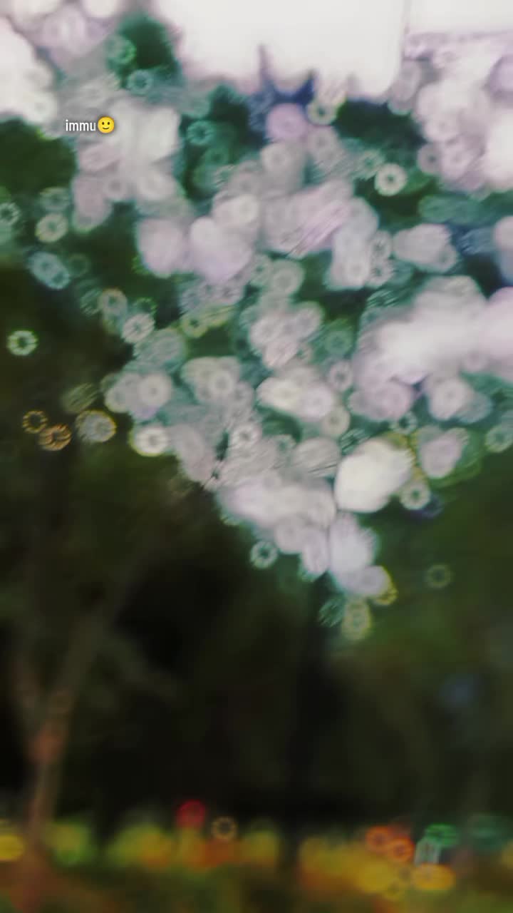 @Mrimmu🌸
