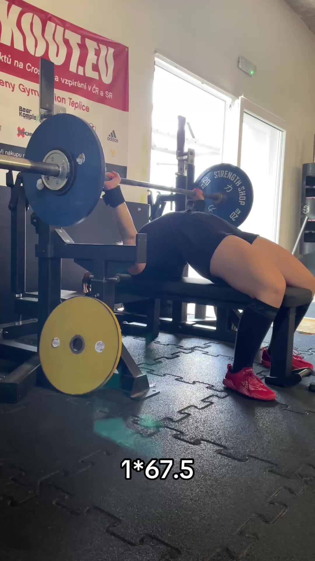 @luciesafarova6