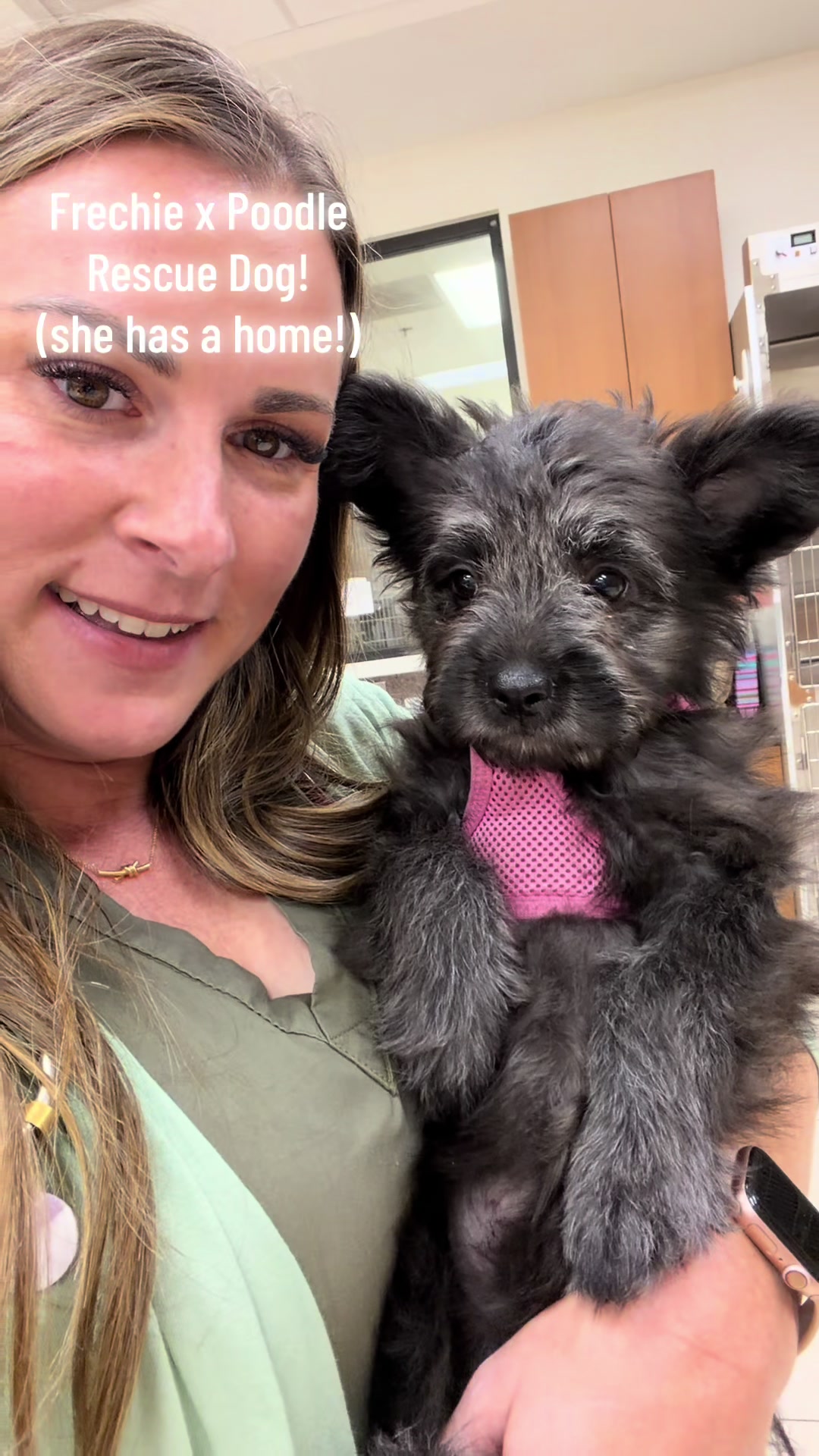 @drcaitlinveterinarian